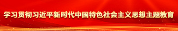 男生鸡鸡插女生屁股学习贯彻习近平新时代中国特色社会主义思想主题教育